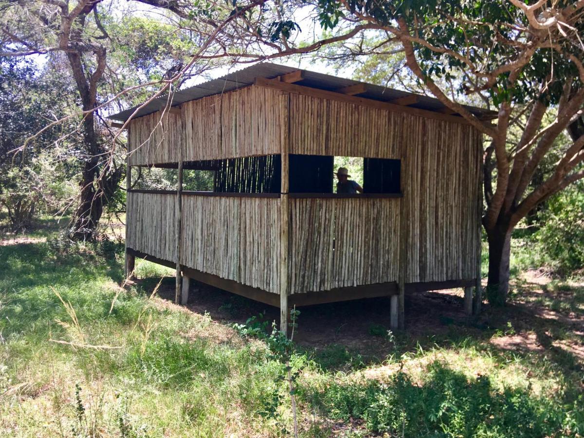 Imani Bush House & Silver Sky Chalet Hluhluwe Exterior photo